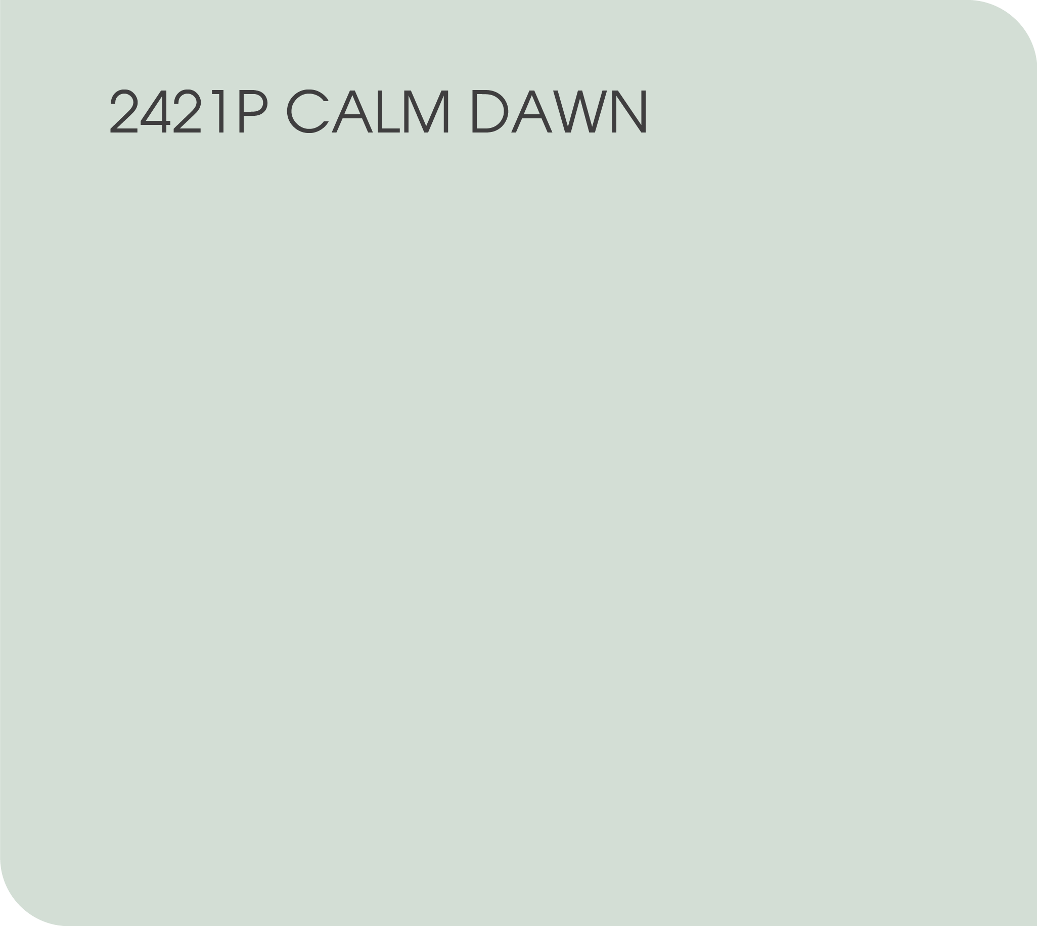 2421P calm dawn
