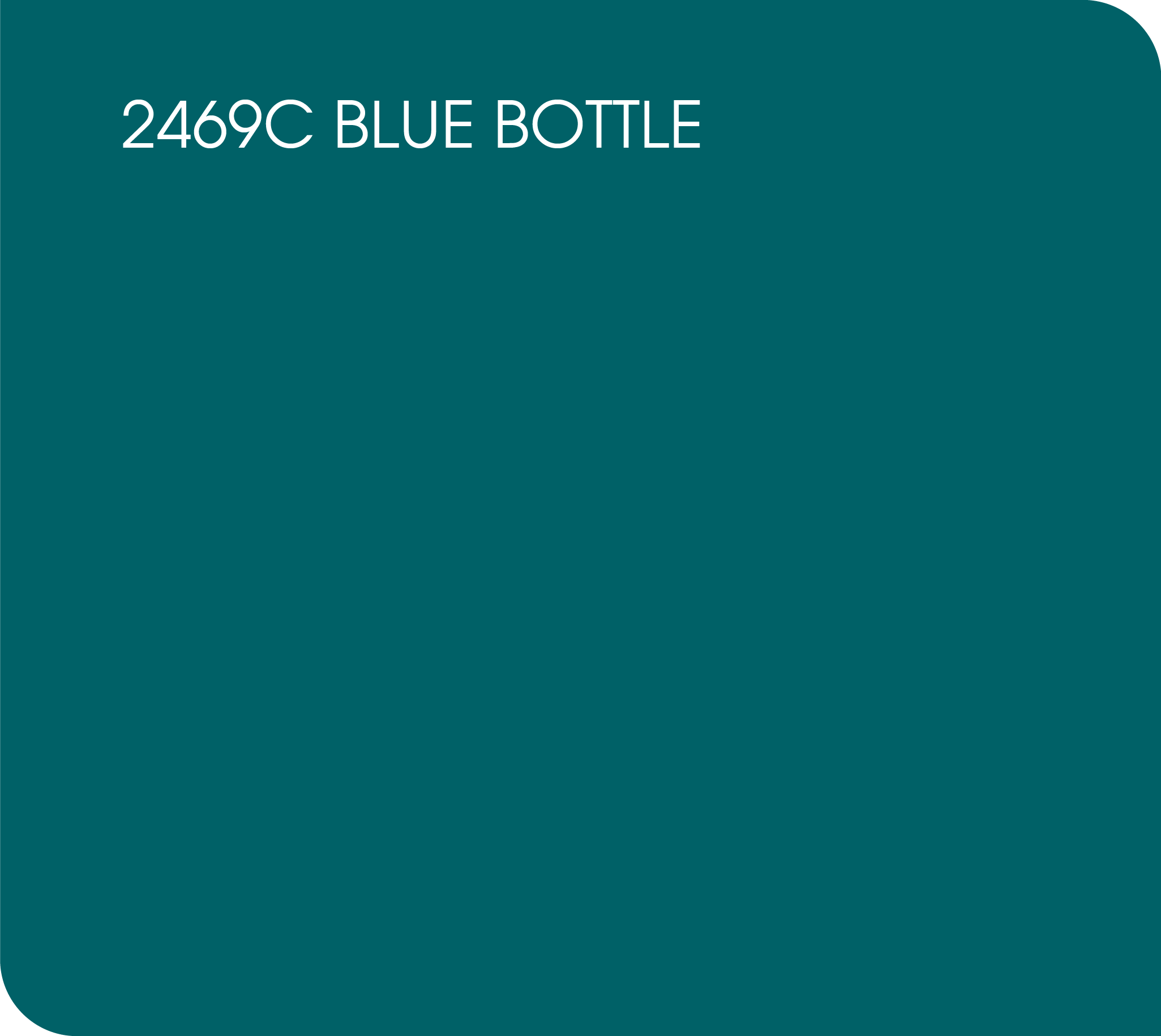 2469C blue bottle