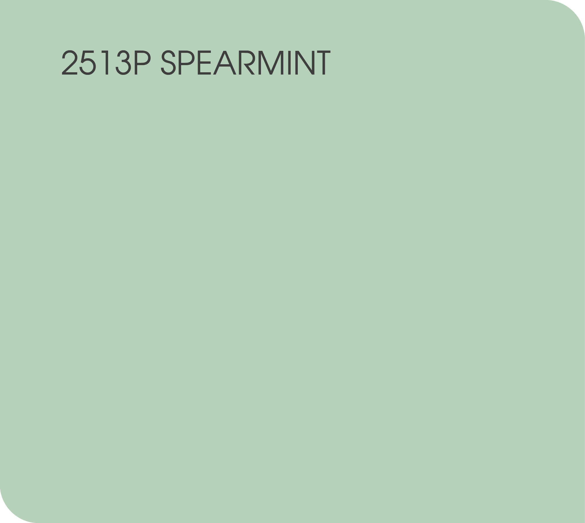 2513P Spearmint