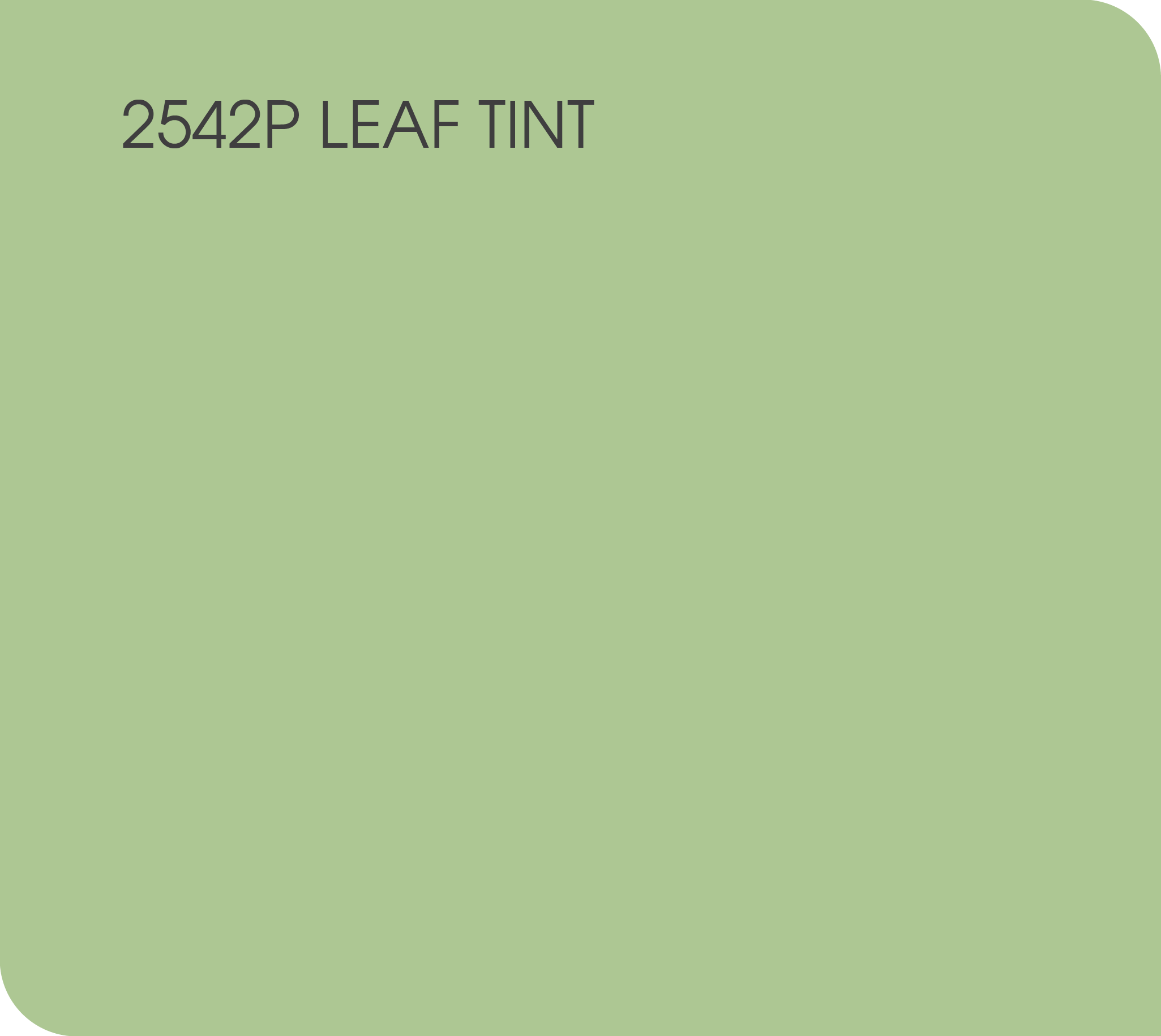 2542P leaf tint