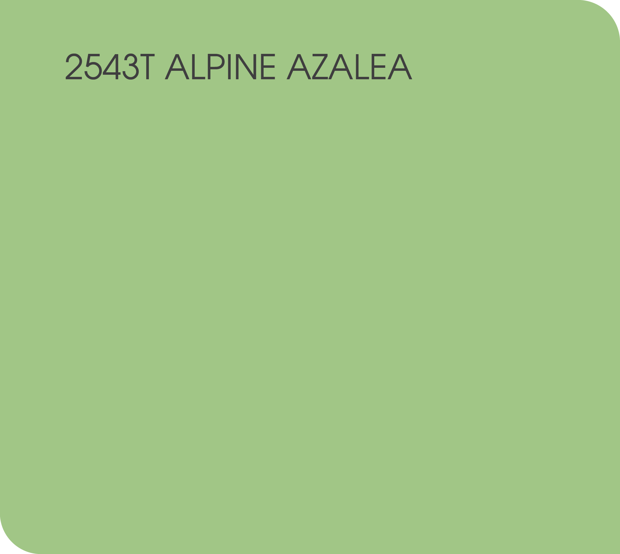 2543T alpine azalea