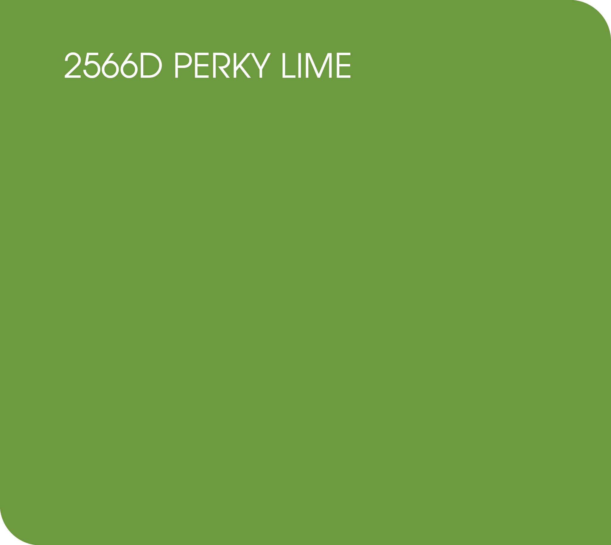 2566D perky lime