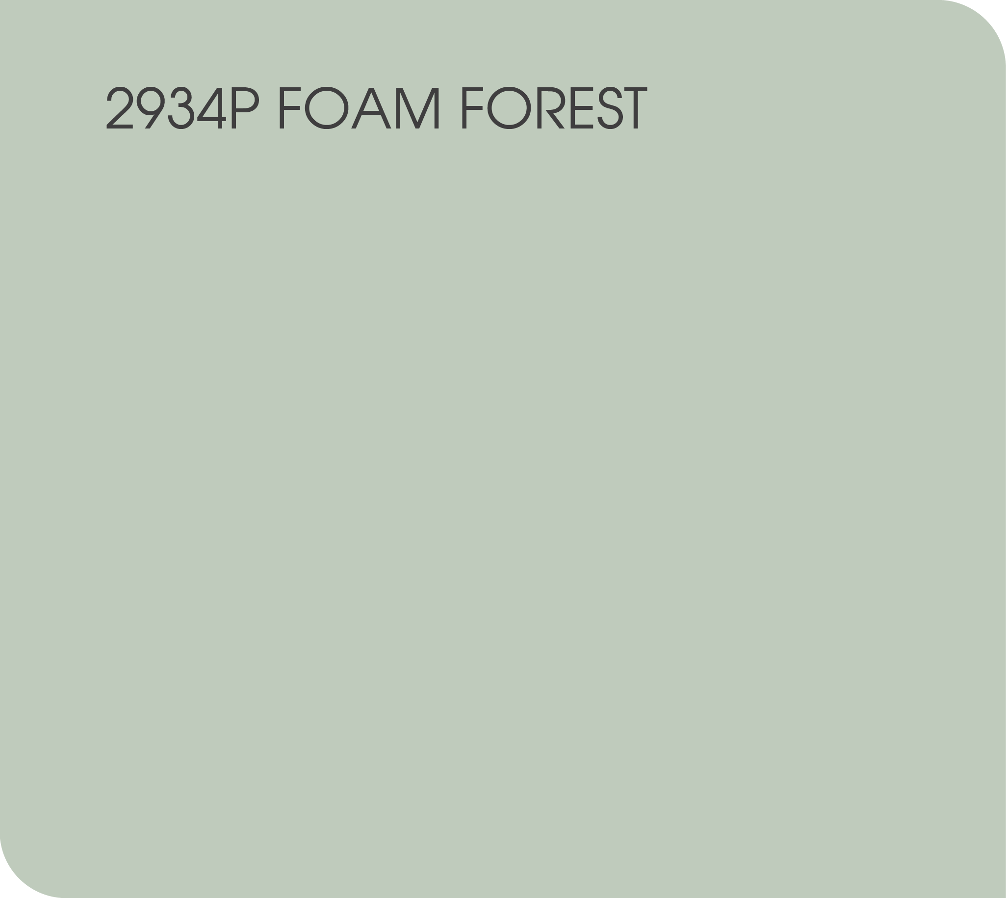 2934P foam forest