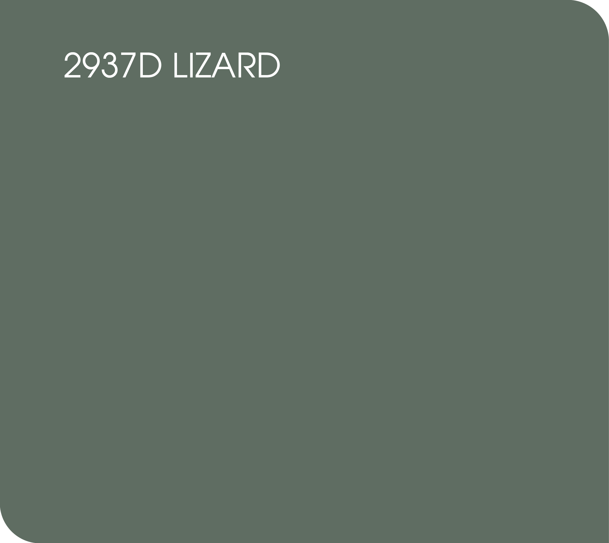 2937D lizard