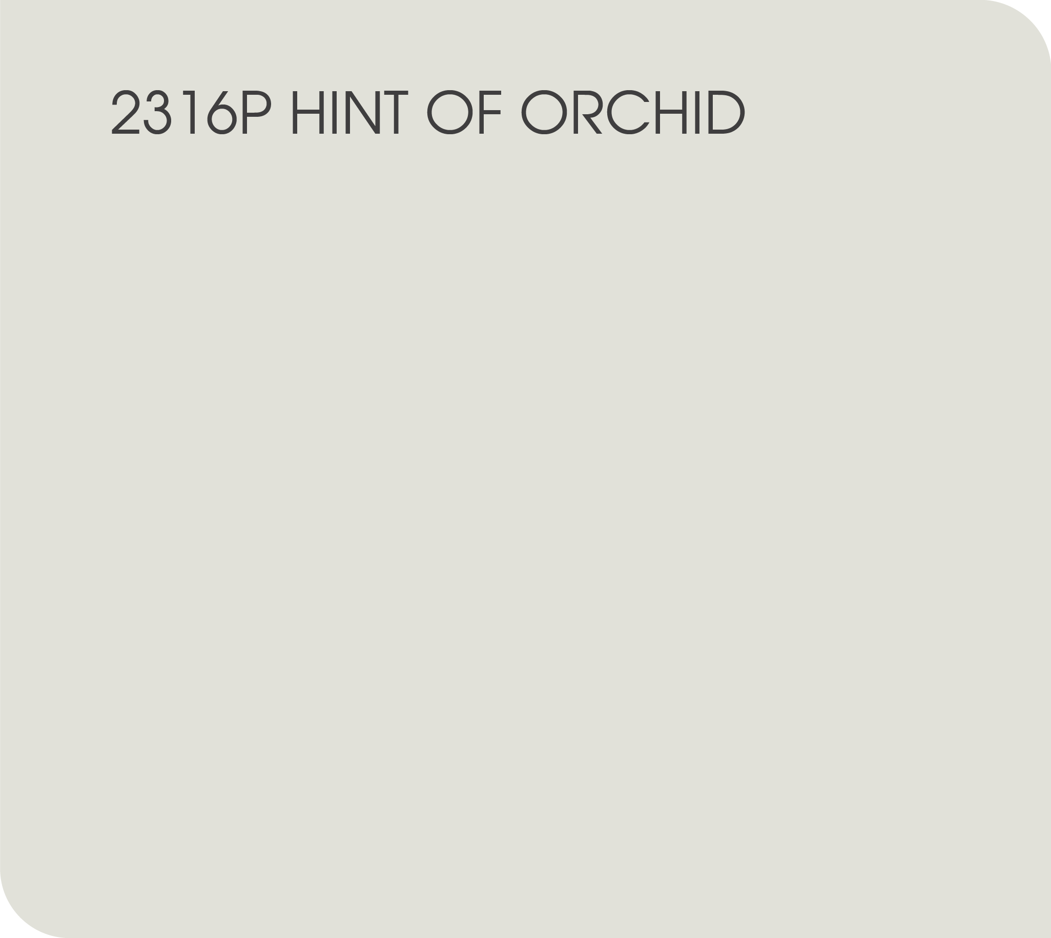 Hint of orchid 2316P