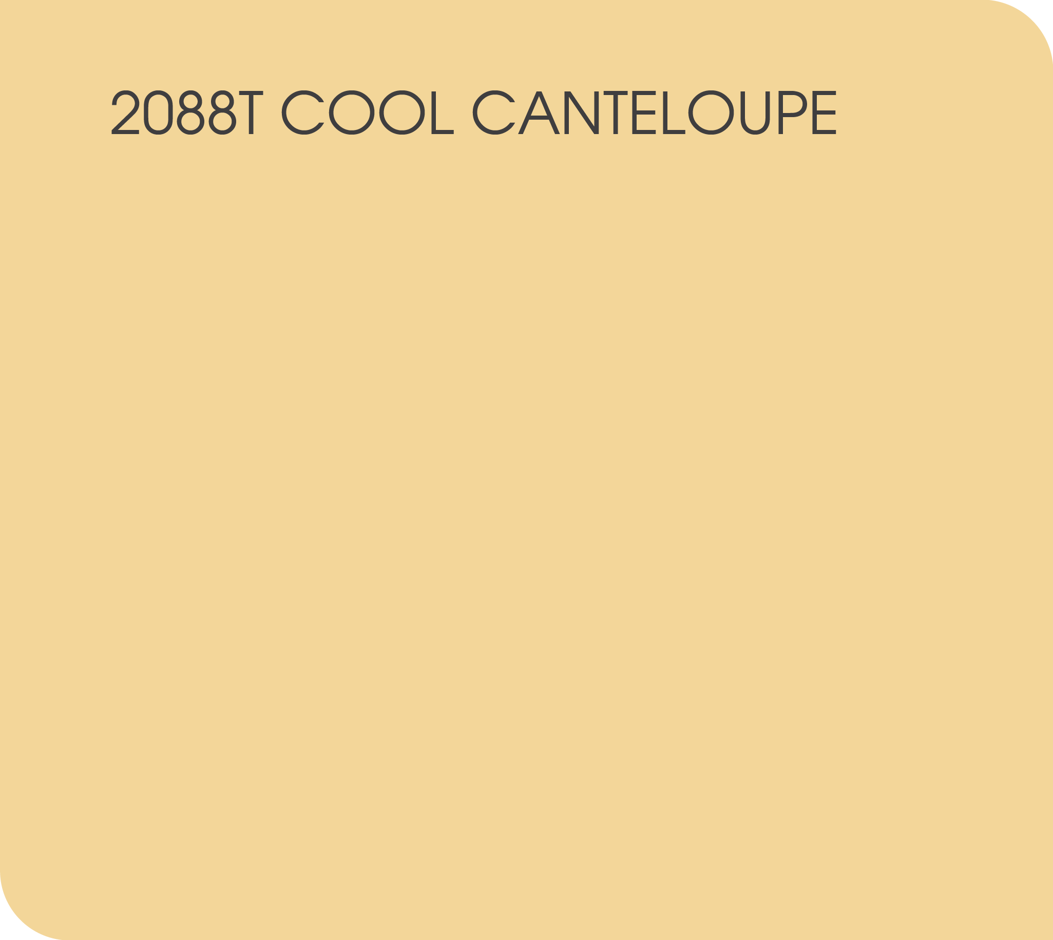 cool canteloupe 2088T