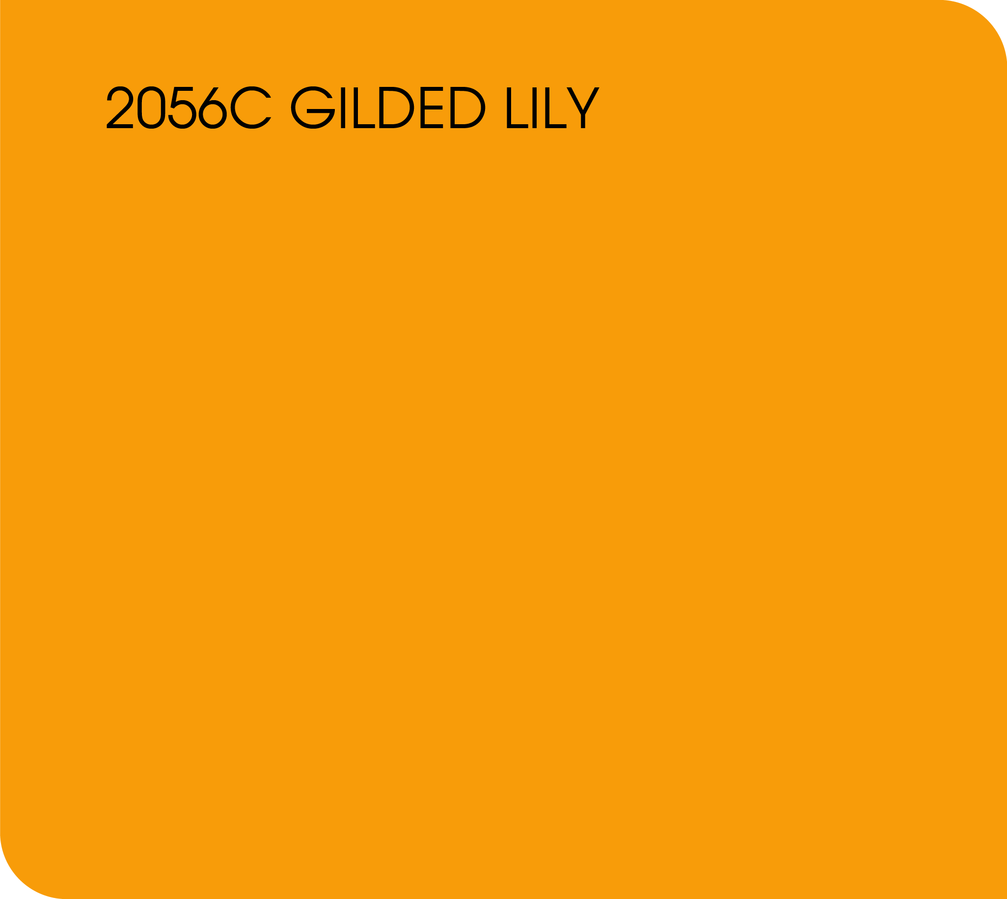 gilded lily 2056C