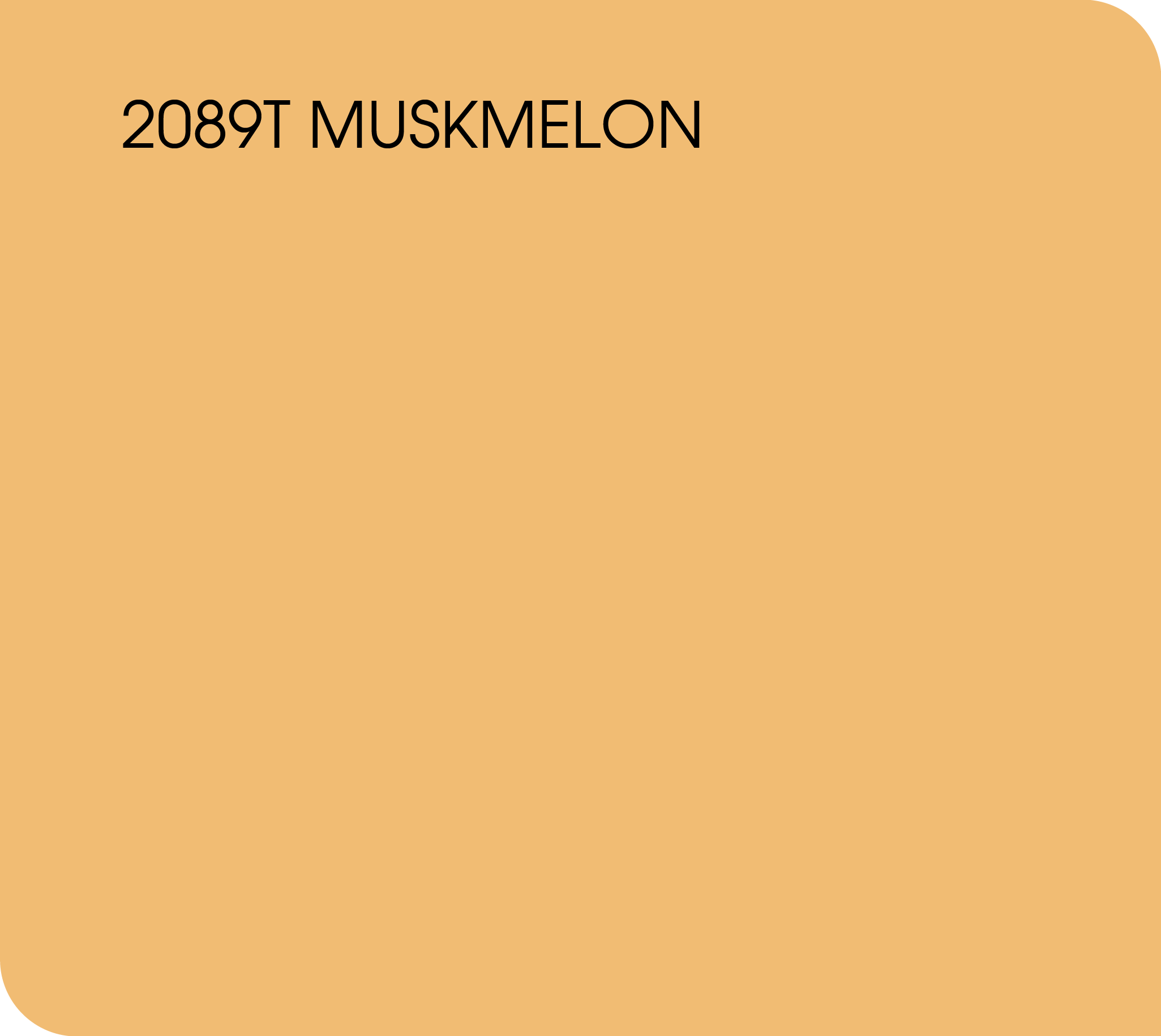 muskmelon 2089T