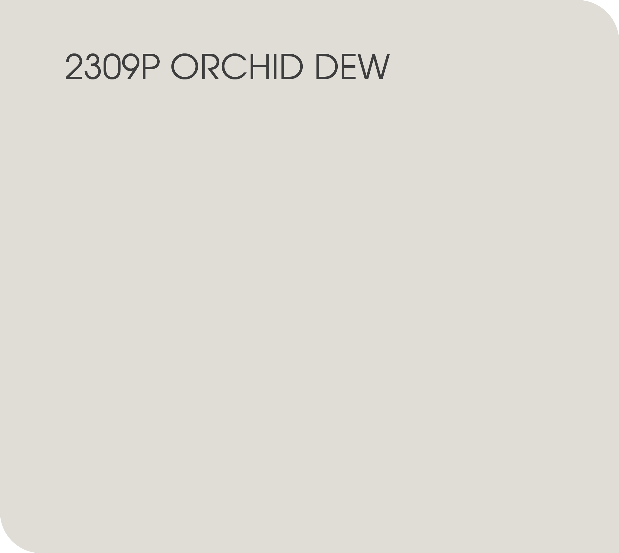 orchid dew 2309P