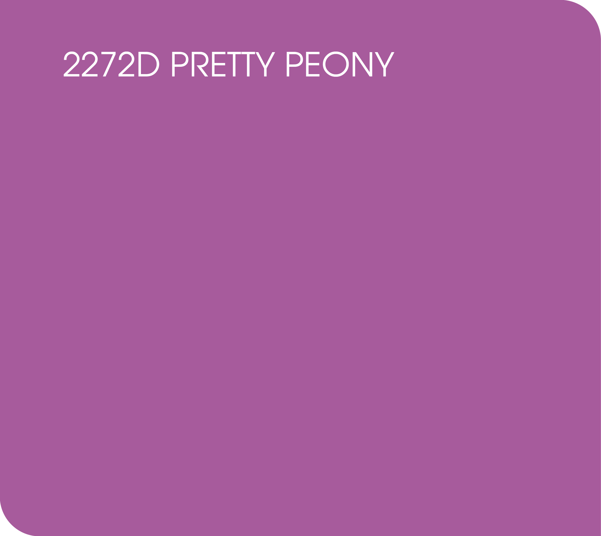 pretty peony