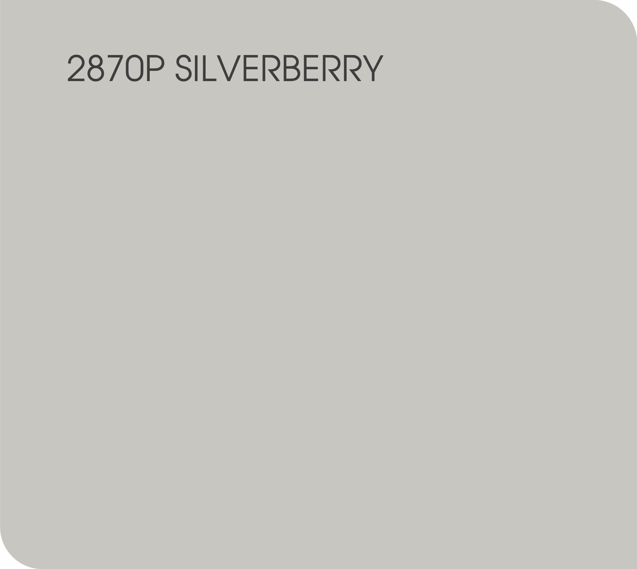 silverberrry 2870P