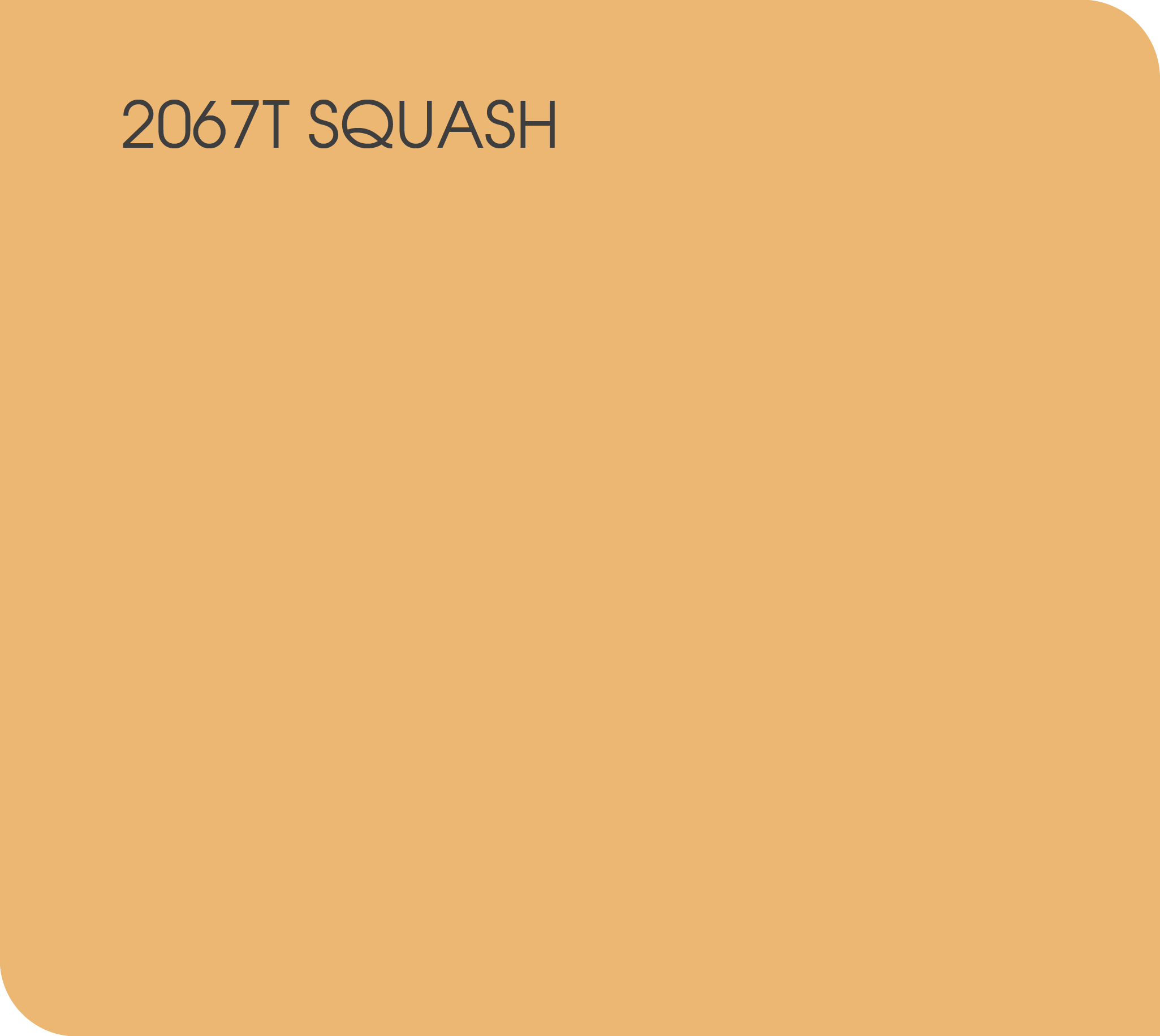 squash 2067T
